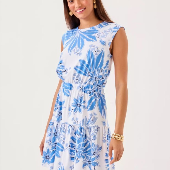 Lilly Pulitzer Dresses & Skirts - Lilly Pulitzer